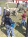 aIMG_2902