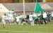 aDSC_0290
